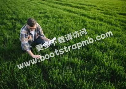 探索足球的魅力 - 抓饭直播bojun