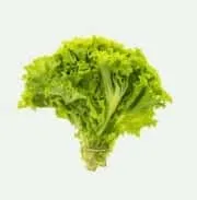 为全球球迷打造的足球资讯平台 - 抓饭直播bojun