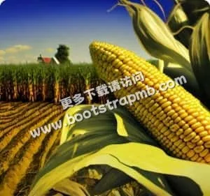 成为全球球迷最信赖的足球赛事信息与内容服务平台 - 抓饭直播bojun