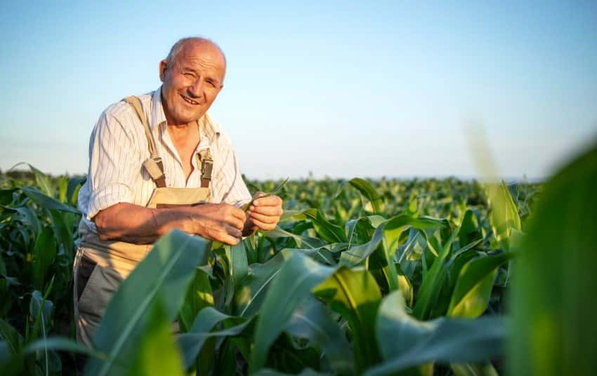 赛事焦点速递 - 抓饭直播bojun