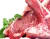 即时赛果更新 - 抓饭直播bojun